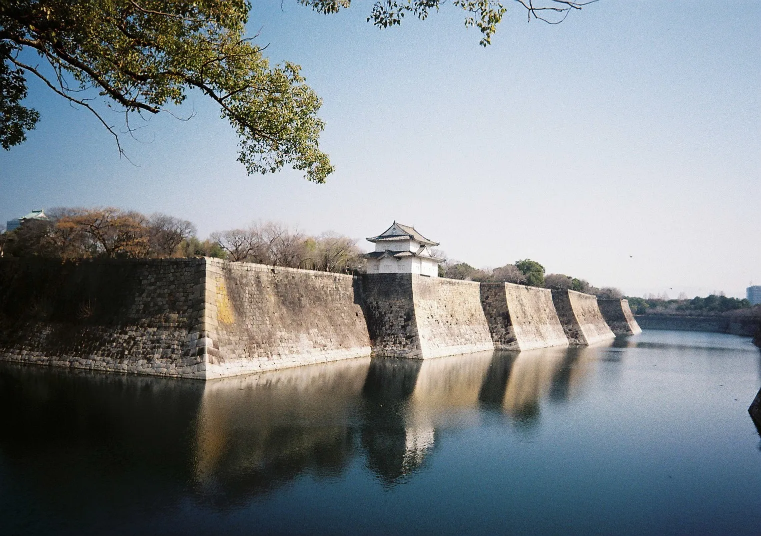 Film photograph shot on Kodak Gold 200 with a Kodak Snapic A1 by Zigao Wang