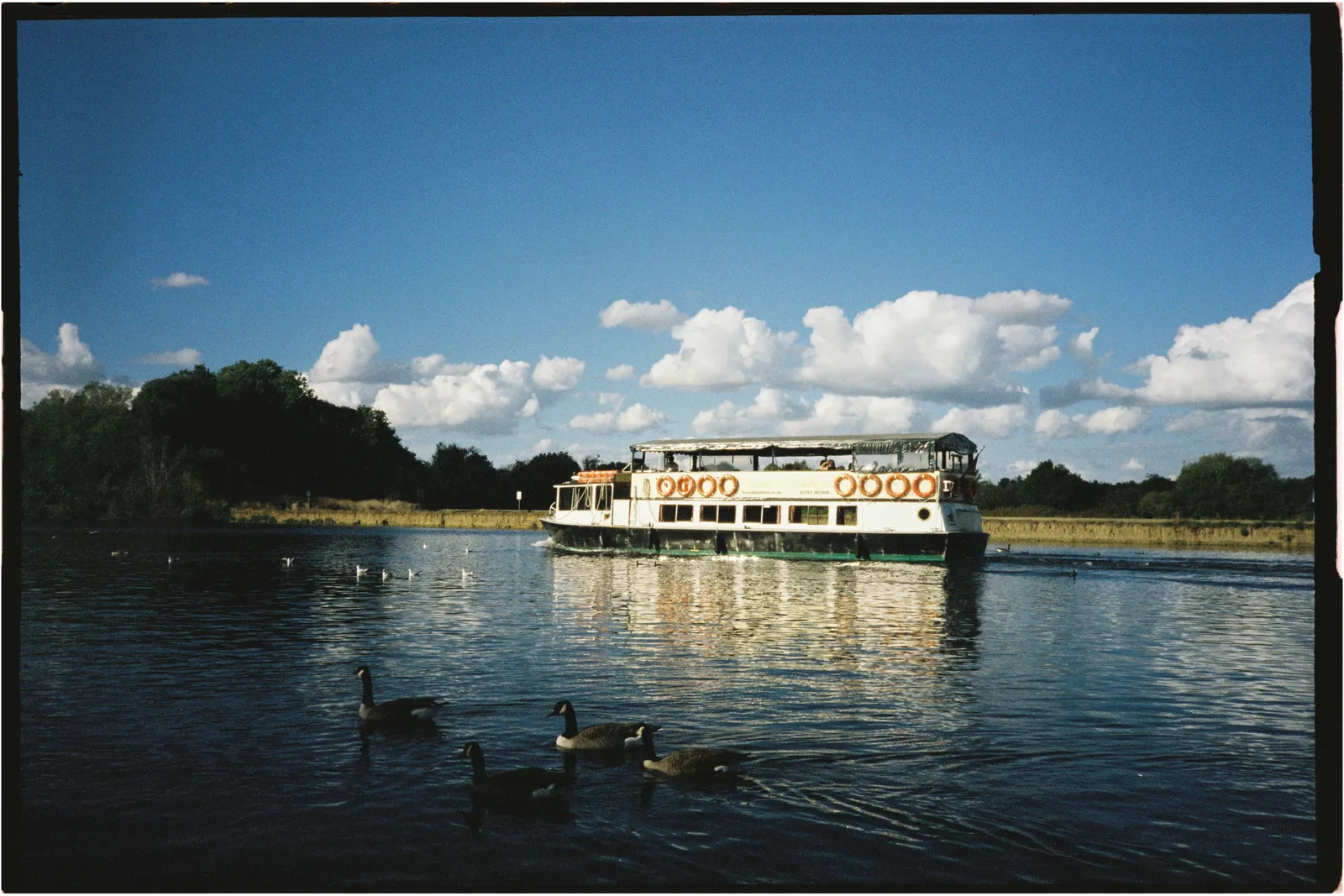 Film photograph shot on Candido 400 with a Konica Big Mini BM-201 by Zigao Wang