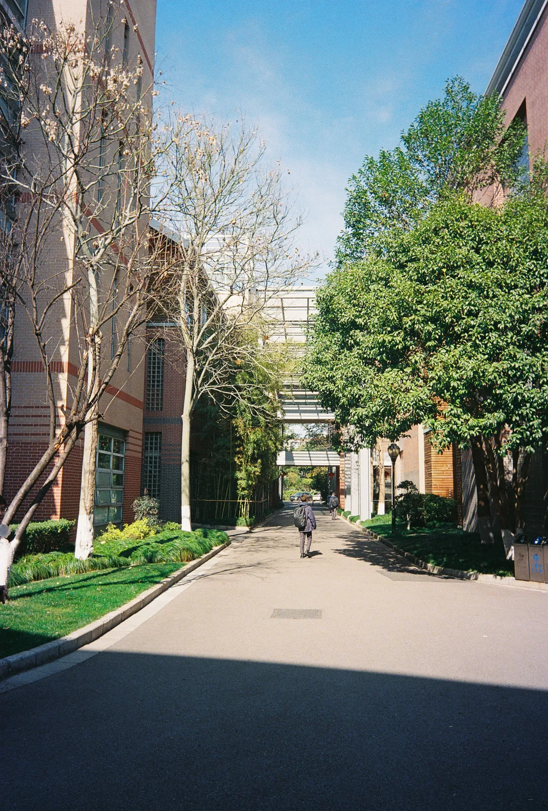 Film photograph shot on Fujifilm 400 with a Kodak Snapic A1 by Zigao Wang