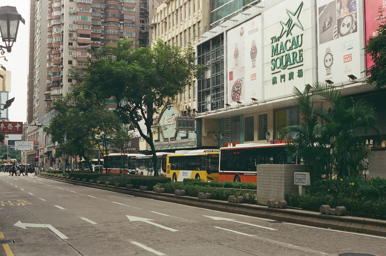 Film photograph shot on Kodak Vision3 250D with a Canon AE-1 Program by Zigao Wang