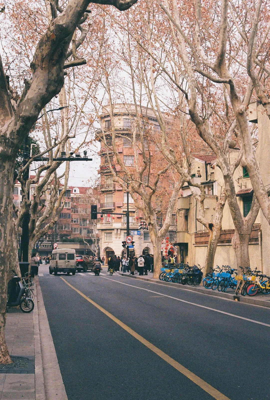 Film photograph shot on Kodak ColorPlus 200 with a Canon AE-1 Program by Zigao Wang