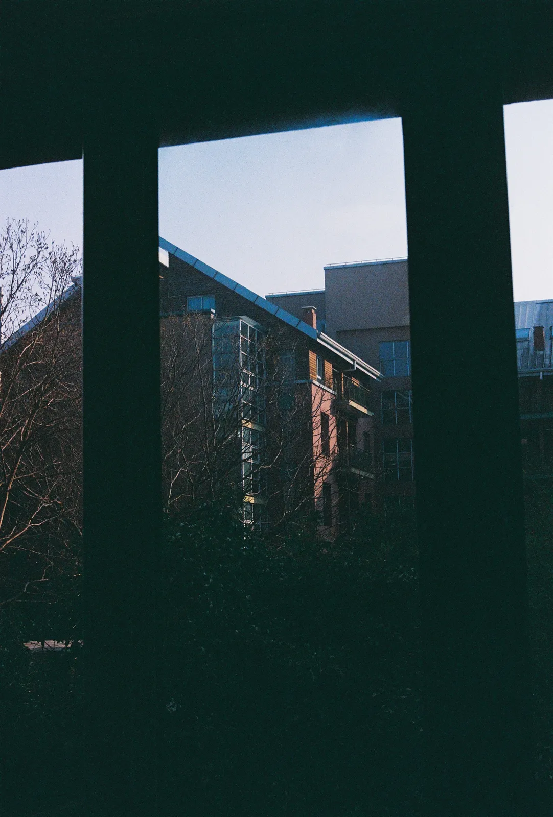 Film photograph shot on Fujifilm 400 with a Canon AE-1 Program by Zigao Wang