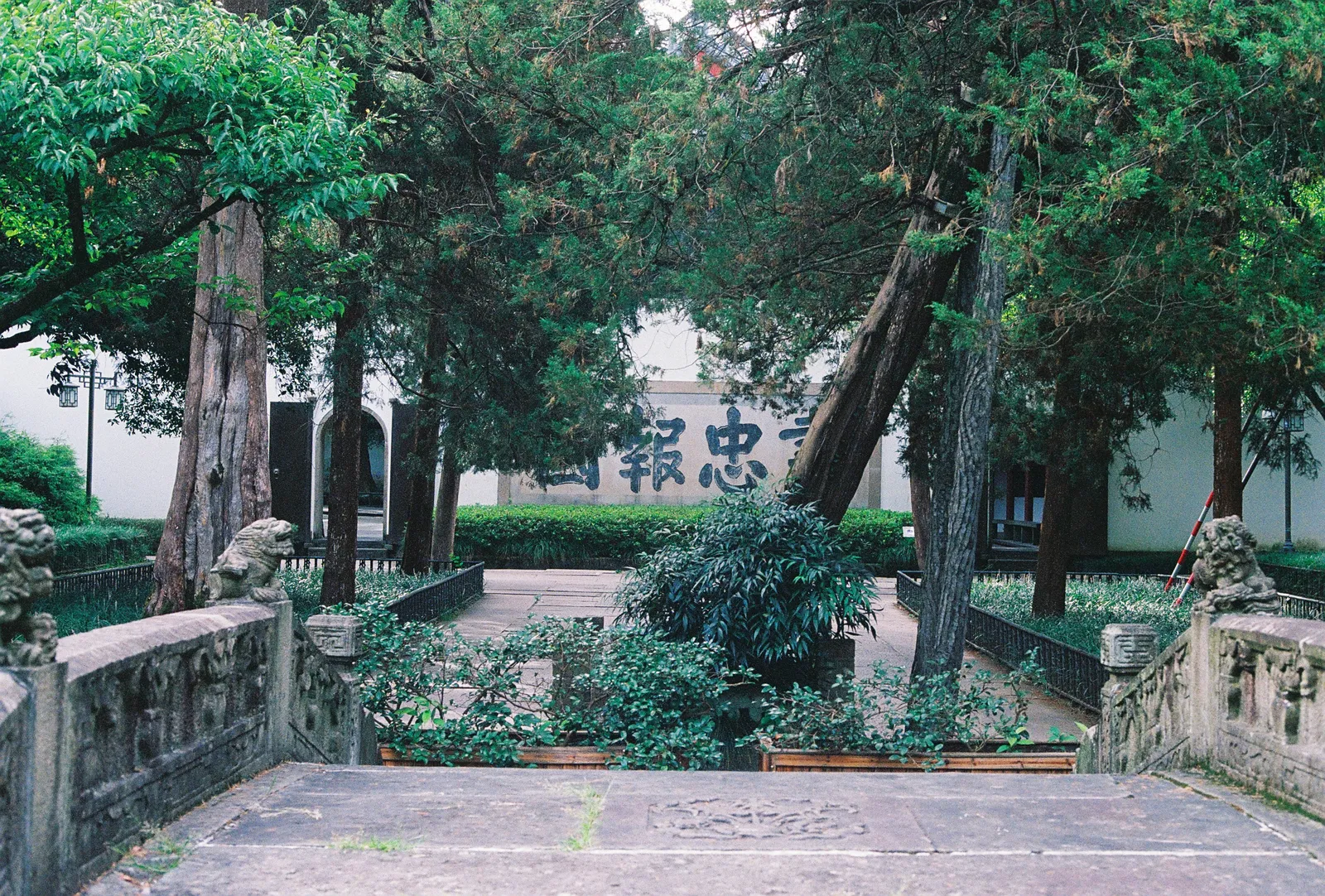 Film photograph shot on Kodak UltraMax 400 with a Canon AE-1 Program by Zigao Wang