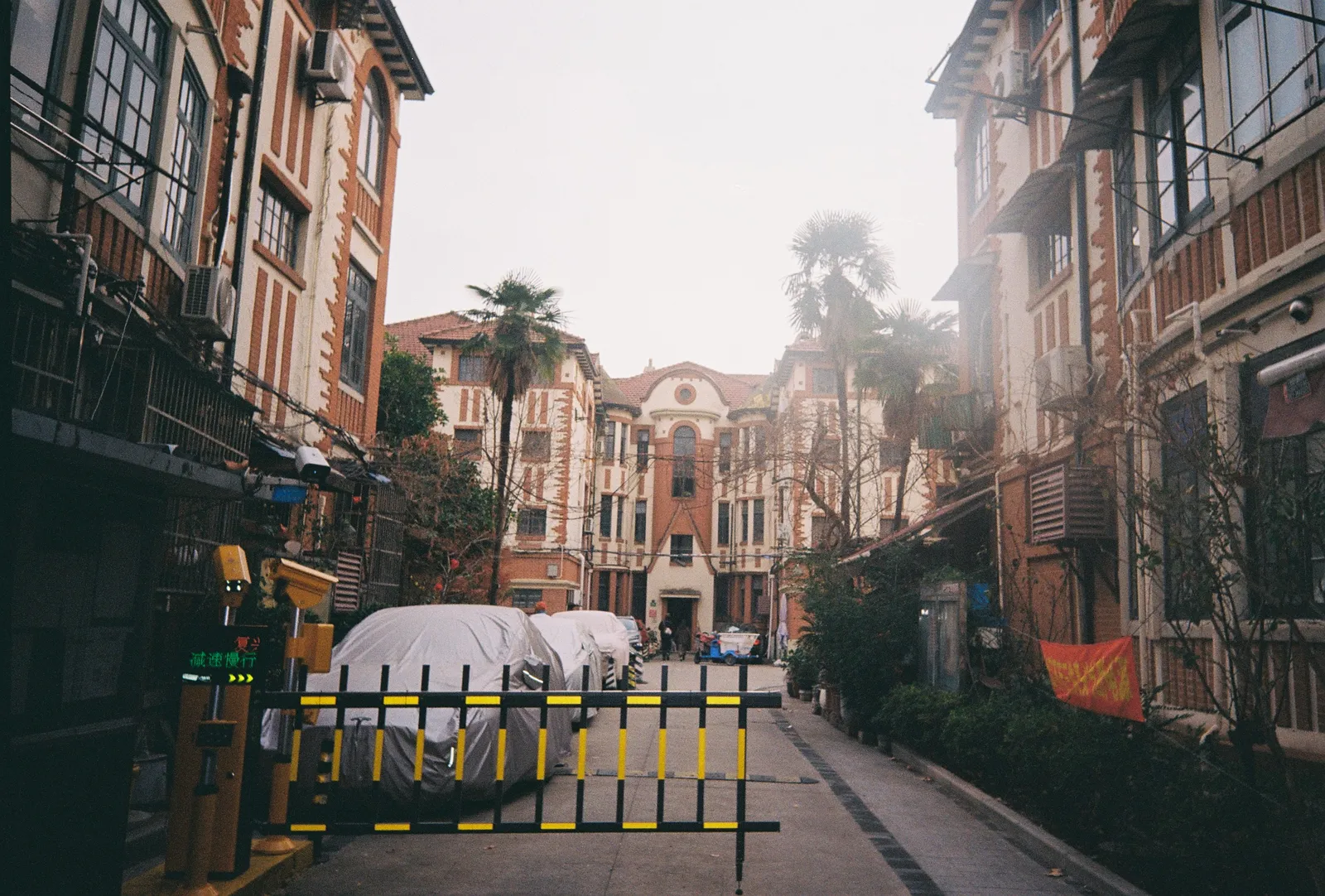Film photograph shot on Kodak Gold 200 with a Kodak Snapic A1 by Zigao Wang