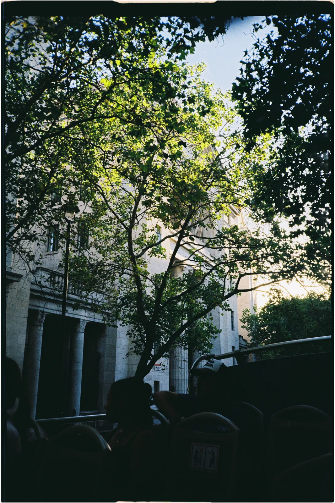 Film photograph shot on Kodak Gold 200 with a Konica Big Mini BM-201 by Zigao Wang
