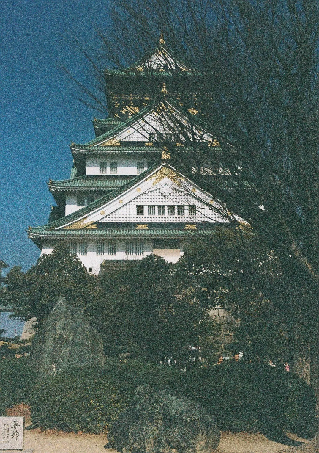 Film photograph shot on Kodak Portra 800 with a Canon AE-1 Program by Zigao Wang