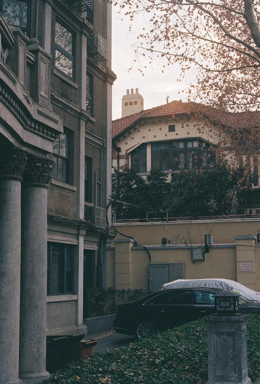 Film photograph shot on Kodak ColorPlus 200 with a Canon AE-1 Program by Zigao Wang