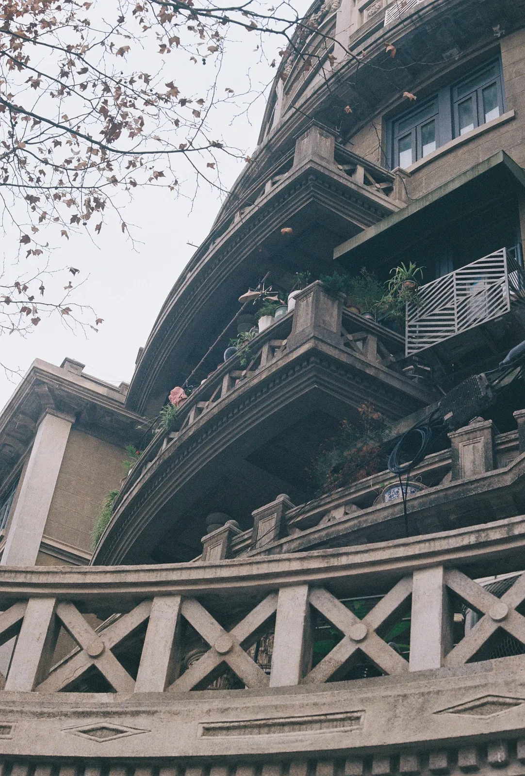 Film photograph shot on Kodak ColorPlus 200 with a Canon AE-1 Program by Zigao Wang