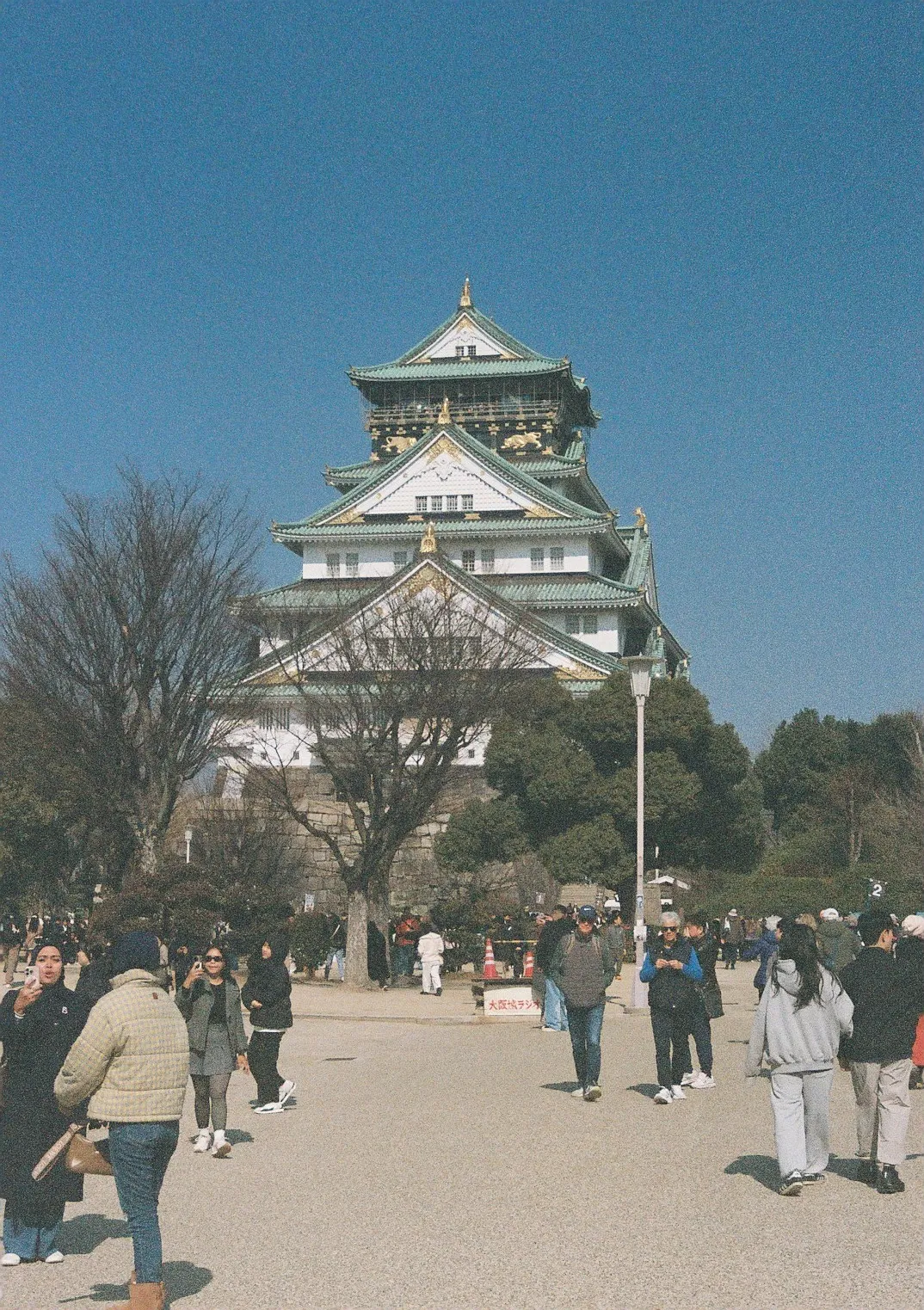 Film photograph shot on Kodak Portra 800 with a Canon AE-1 Program by Zigao Wang