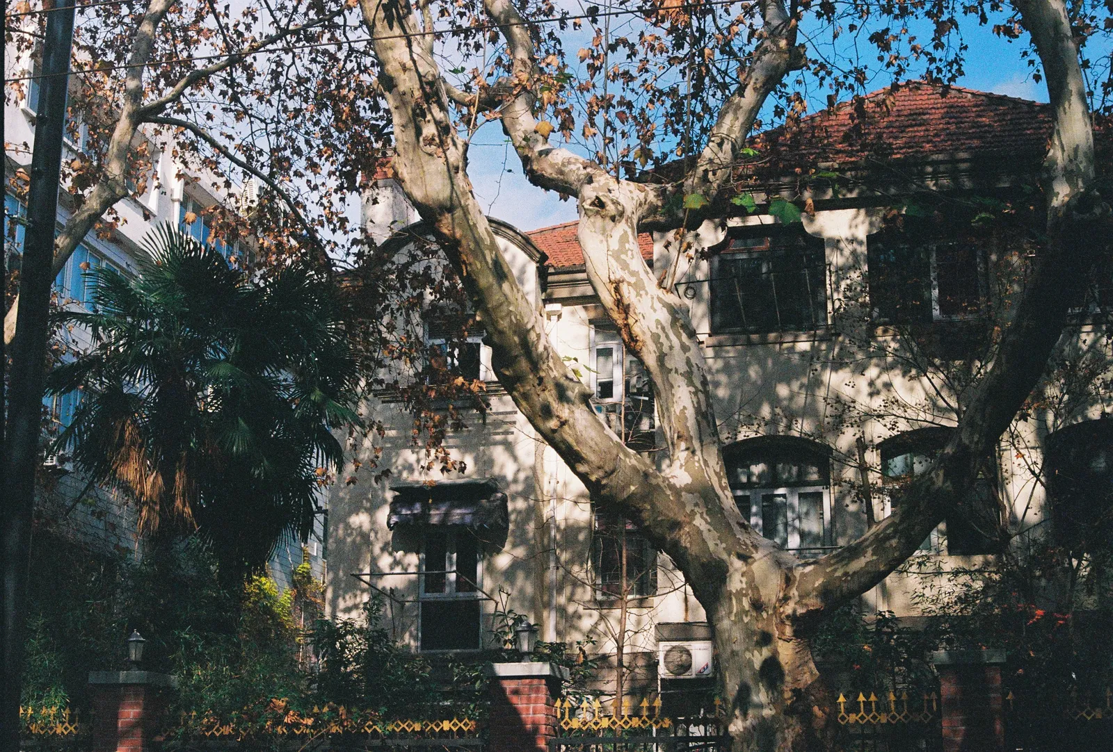 Film photograph shot on Kodak UltraMax 400 with a Canon AE-1 Program by Zigao Wang