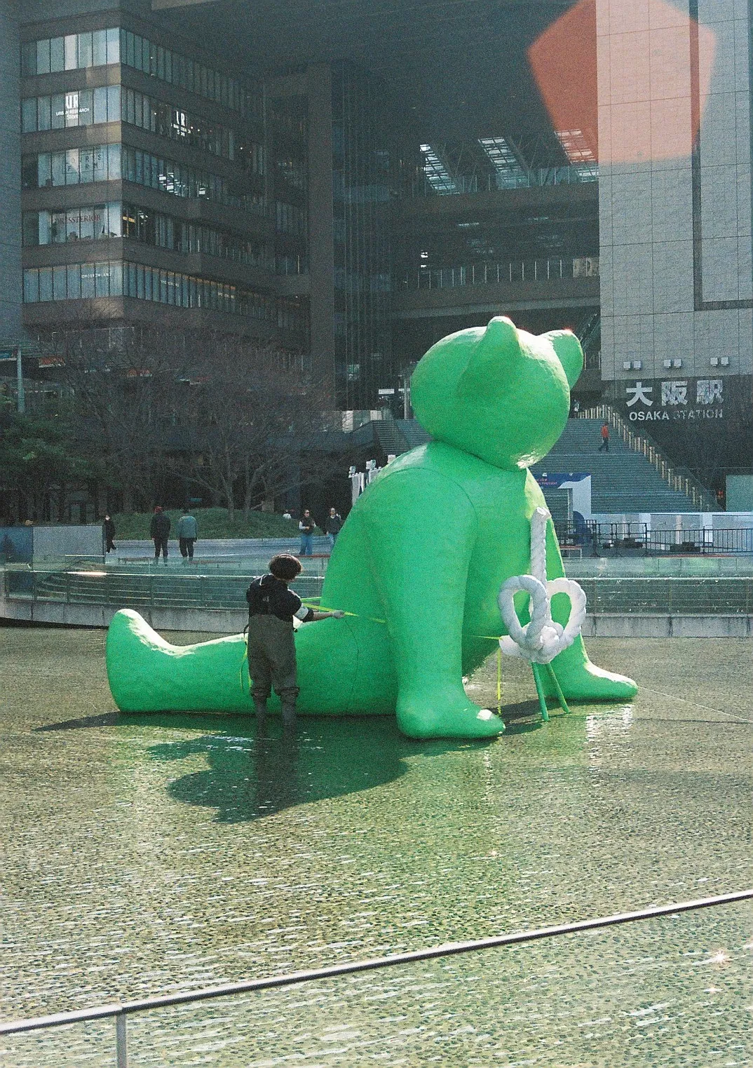 Film photograph shot on Kodak Portra 800 with a Canon AE-1 Program by Zigao Wang
