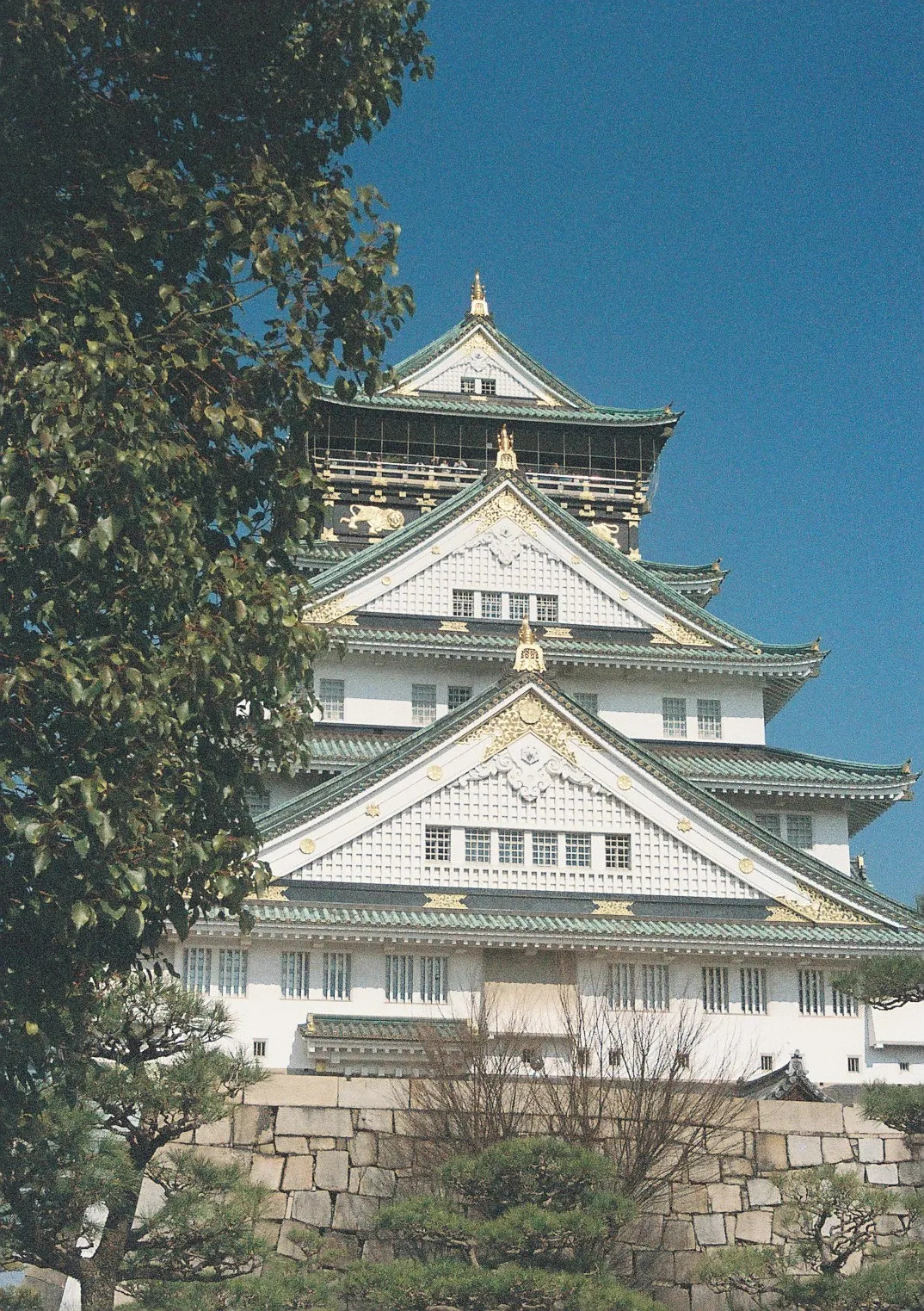 Film photograph shot on Kodak Portra 800 with a Canon AE-1 Program by Zigao Wang