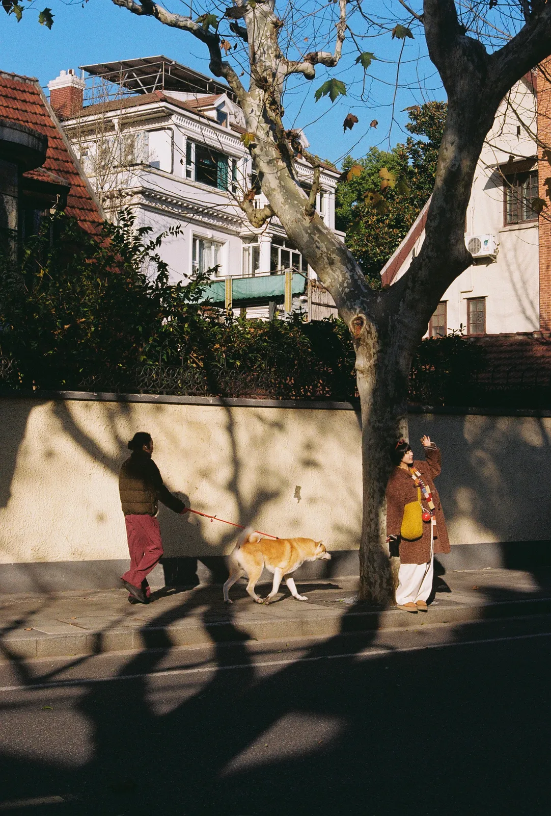 Film photograph shot on Kodak Gold 200 with a Canon AE-1 Program by Zigao Wang