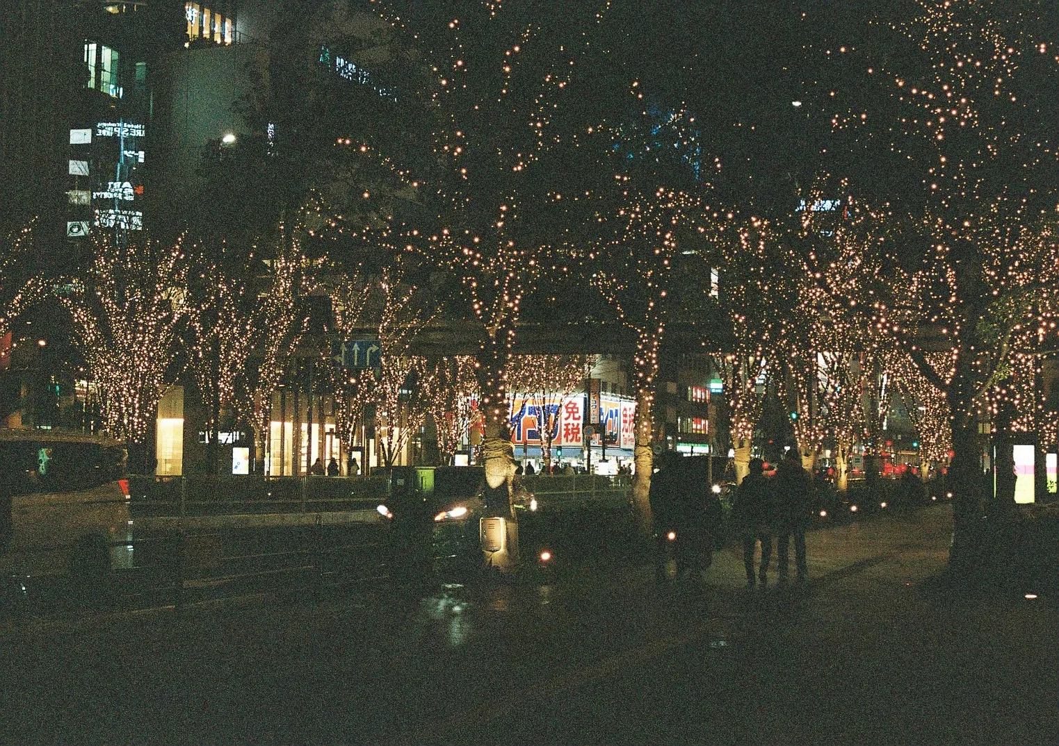 Film photograph shot on Kodak Portra 800 with a Canon AE-1 Program by Zigao Wang