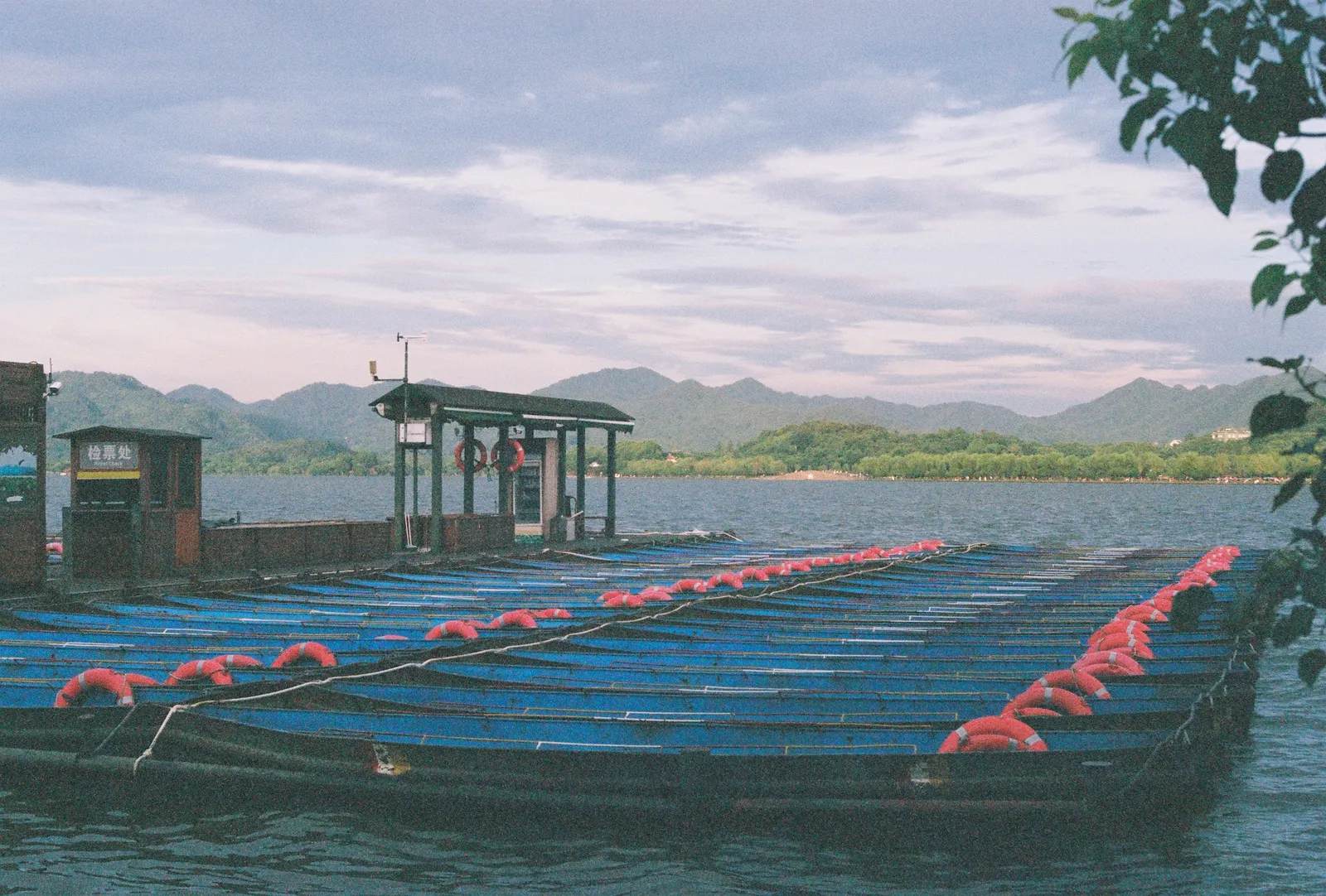 Film photograph shot on Fujifilm Superia Premium 400 with a Canon AE-1 Program by Zigao Wang