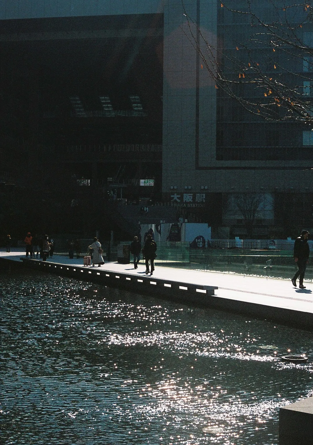 Film photograph shot on Kodak Portra 800 with a Canon AE-1 Program by Zigao Wang