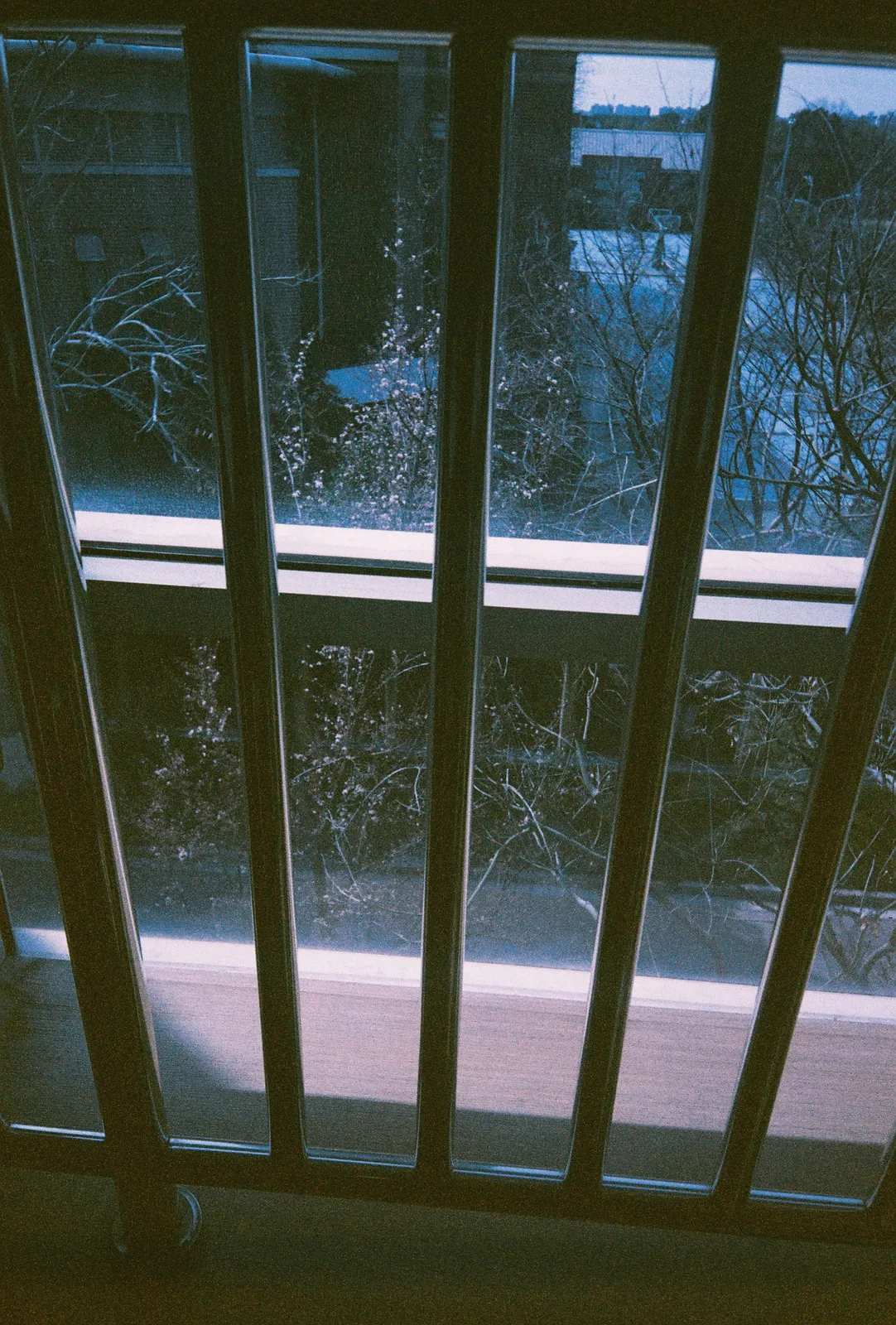 Film photograph shot on Orwo Wolfen NC400 with a Kodak Snapic A1 by Zigao Wang