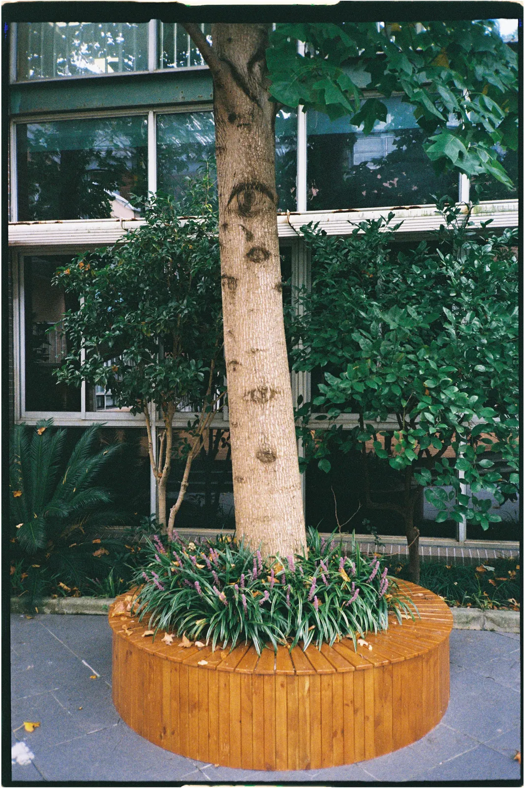 Film photograph shot on Kodak UltraMax 400 with a Konica Big Mini BM-201 by Zigao Wang