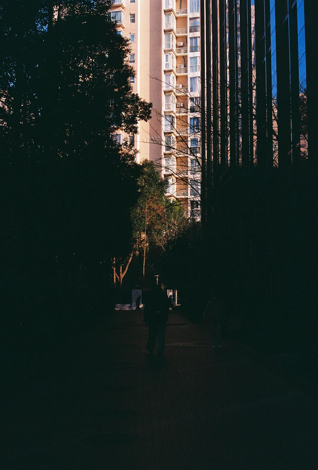 Film photograph shot on Fujifilm 400 with a Canon AE-1 Program by Zigao Wang