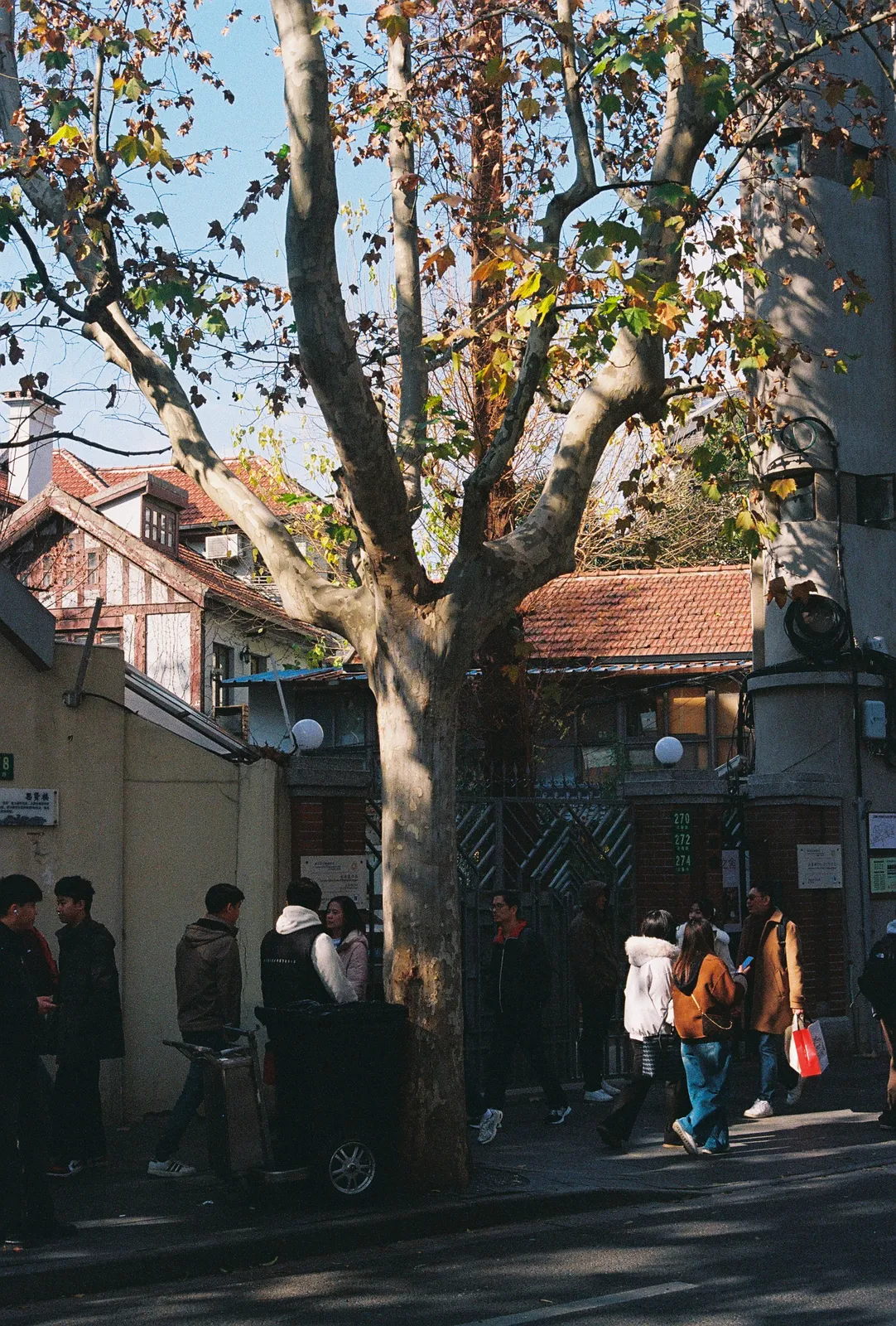 Film photograph shot on Kodak UltraMax 400 with a Canon AE-1 Program by Zigao Wang
