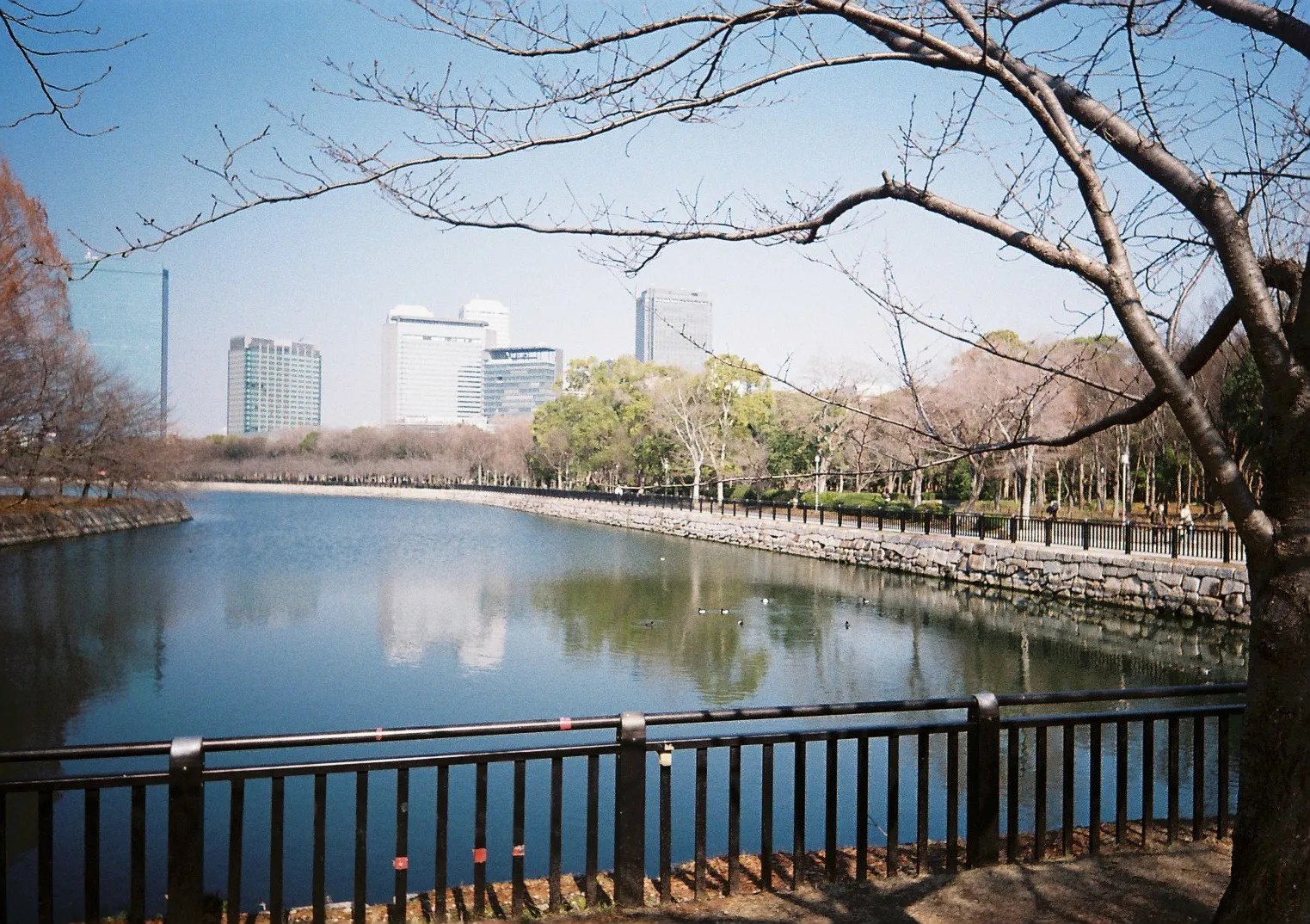 Film photograph shot on Kodak Gold 200 with a Kodak Snapic A1 by Zigao Wang