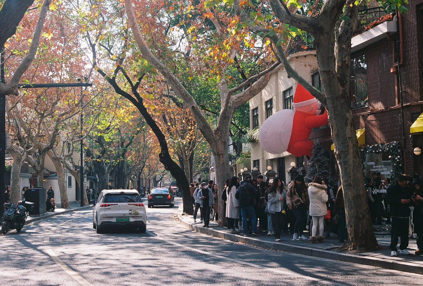 Film photograph shot on Kodak UltraMax 400 with a Canon AE-1 Program by Zigao Wang