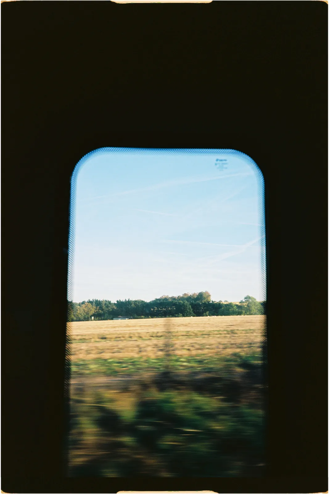 Film photograph shot on Kodak Ektar 100 with a Konica Big Mini BM-201 by Zigao Wang