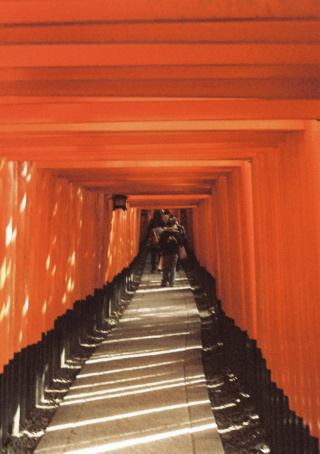 Film photograph shot on Ilford Ilfocolor 400 Plus Vintage Tone with a Canon AE-1 Program by Zigao Wang