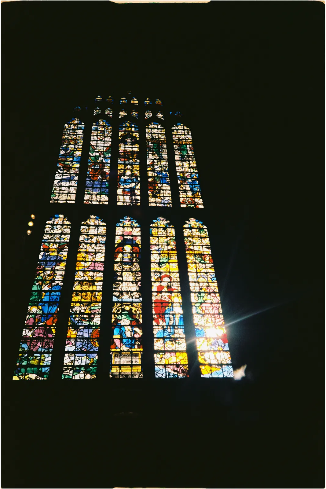 Film photograph shot on Kodak Ektar 100 with a Konica Big Mini BM-201 by Zigao Wang