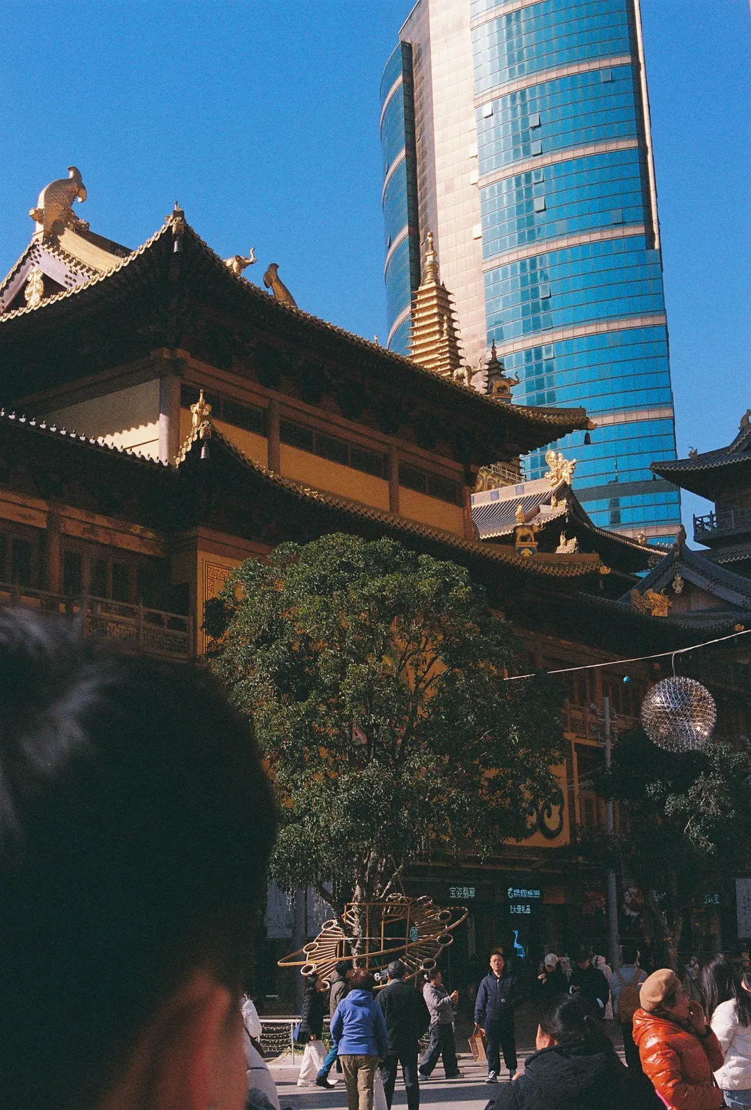 Film photograph shot on Fujifilm 400 with a Canon AE-1 Program by Zigao Wang