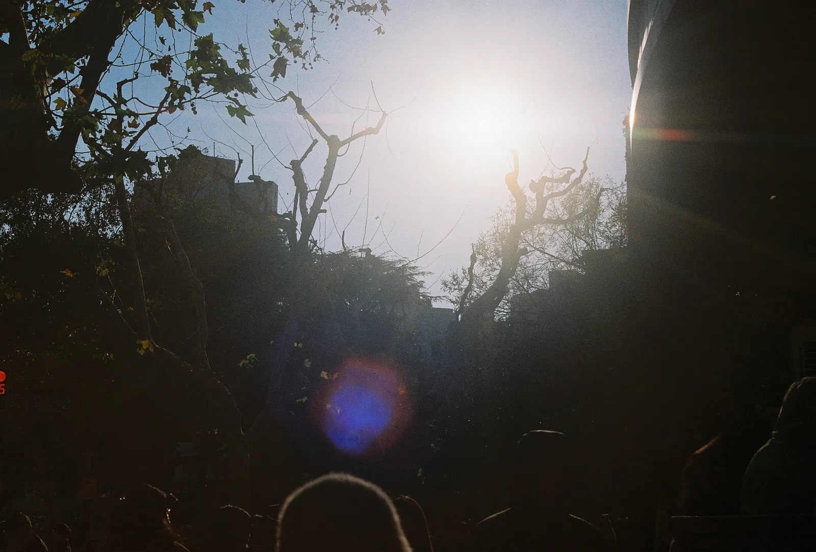 Film photograph shot on Kodak Gold 200 with a Canon AE-1 Program by Zigao Wang
