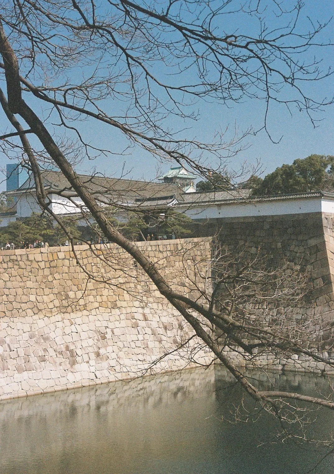 Film photograph shot on Kodak Portra 800 with a Canon AE-1 Program by Zigao Wang