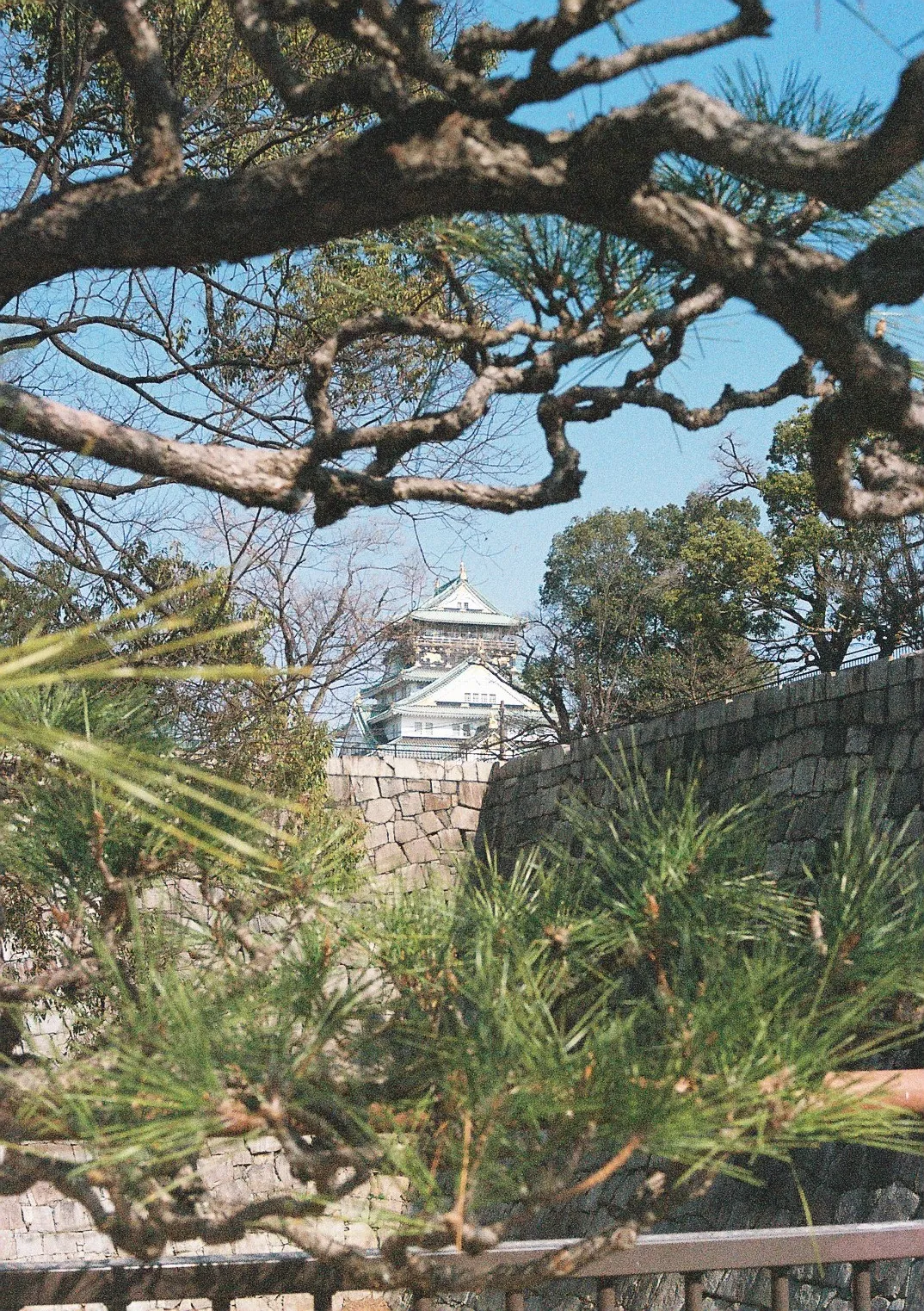 Film photograph shot on Kodak Portra 800 with a Canon AE-1 Program by Zigao Wang