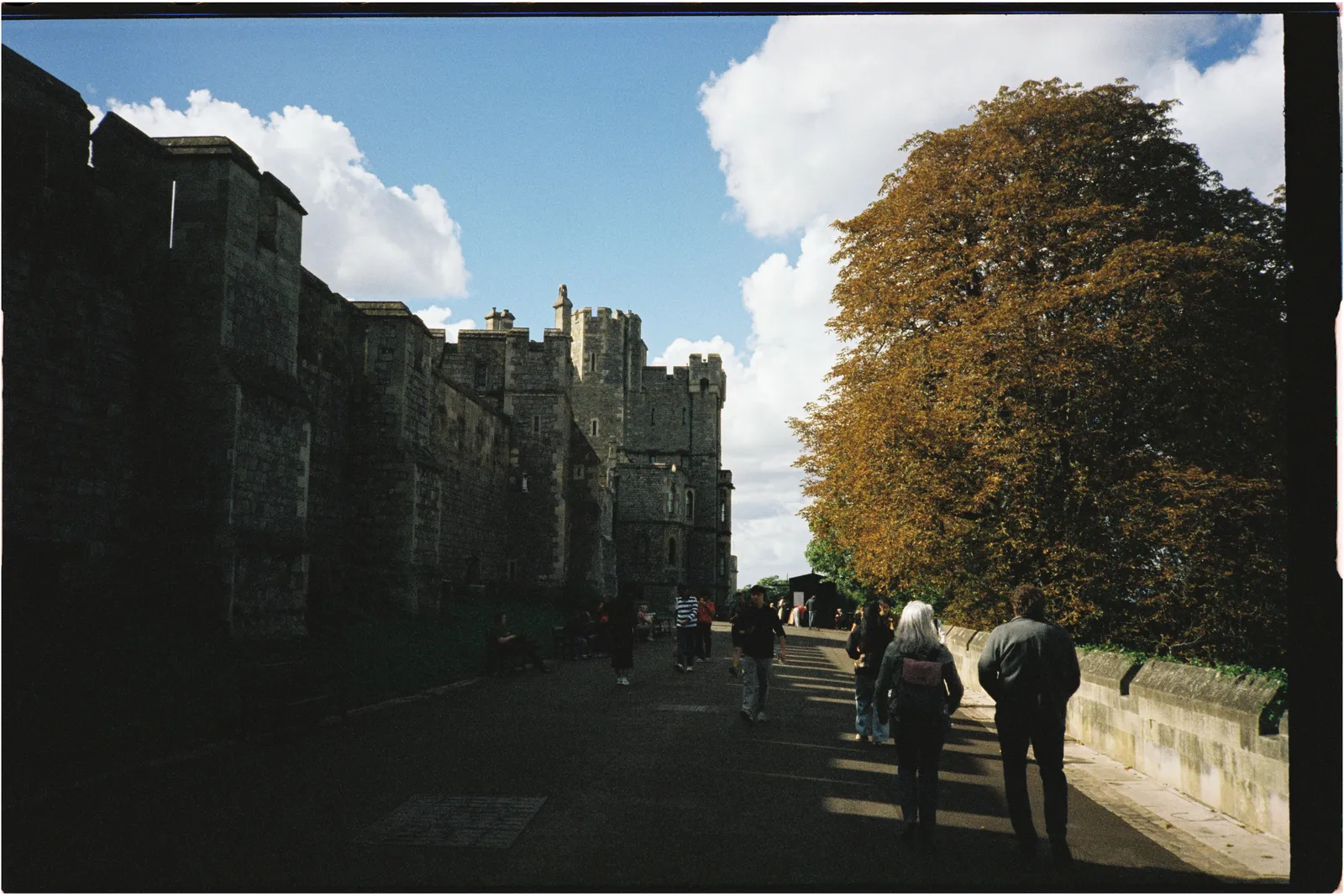 Film photograph shot on Candido 400 with a Konica Big Mini BM-201 by Zigao Wang