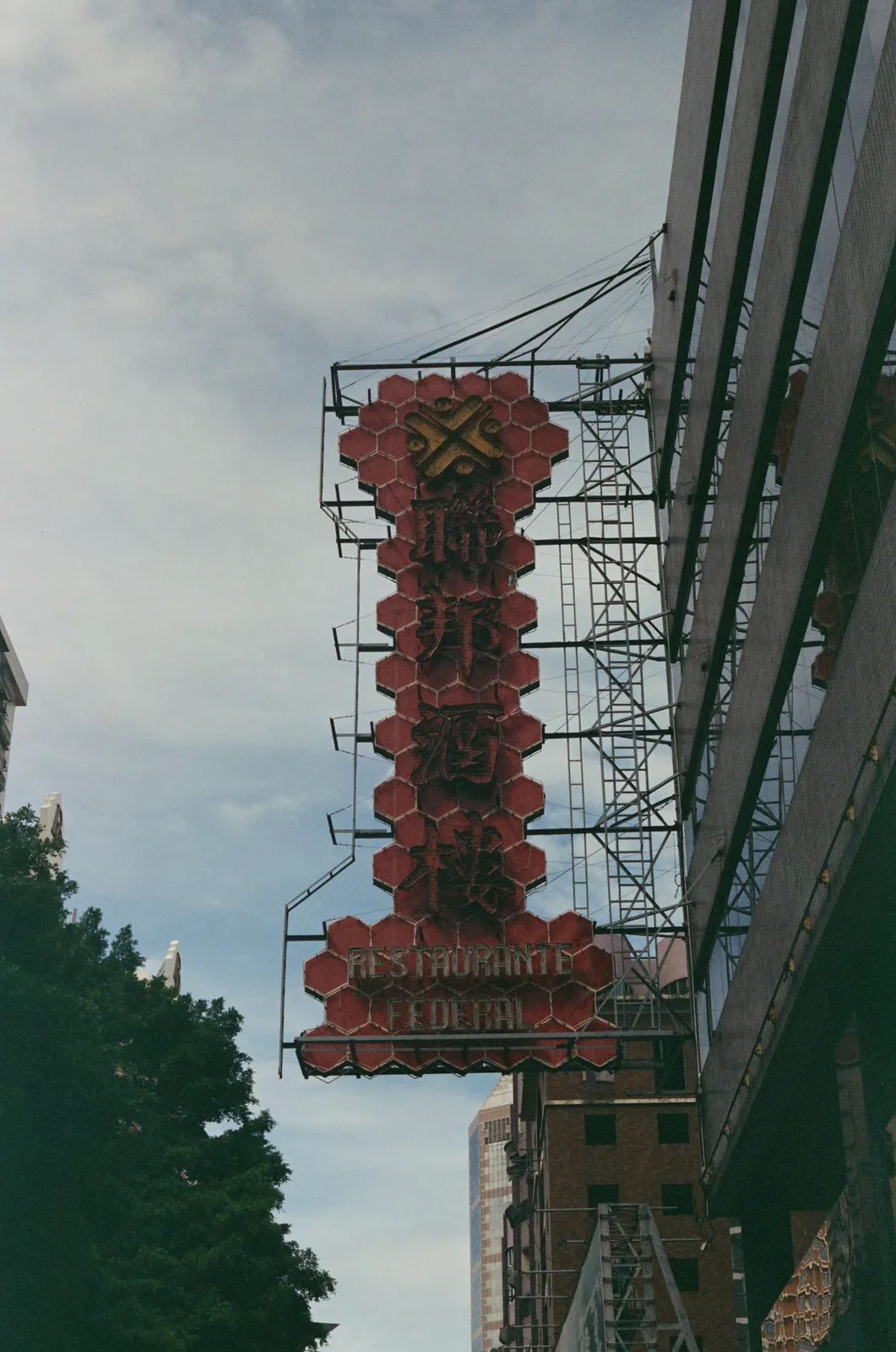 Film photograph shot on Kodak Vision3 250D with a Canon AE-1 Program by Zigao Wang