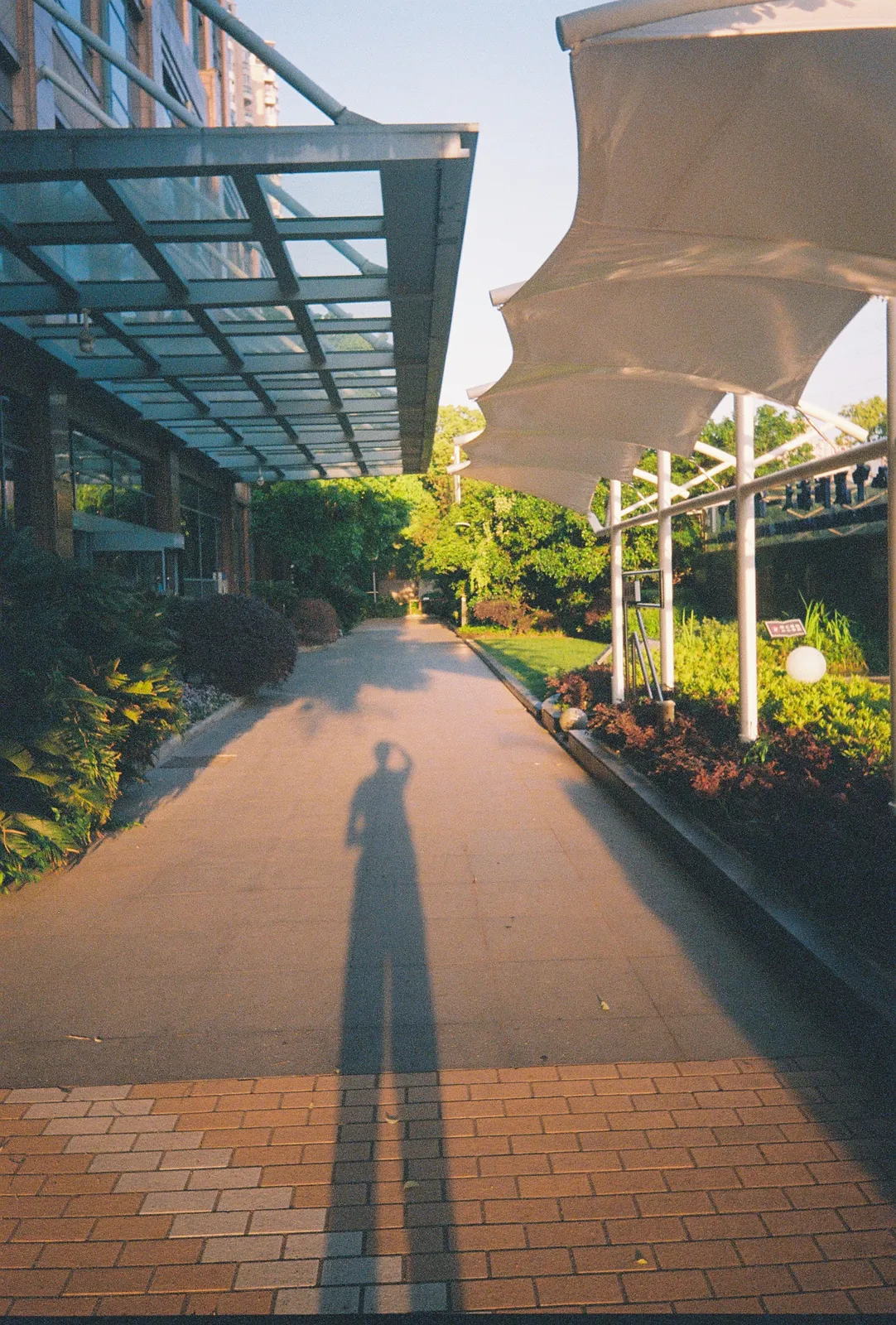 Film photograph shot on Lomography Color Negative 400 with a Kodak Snapic A1 by Zigao Wang