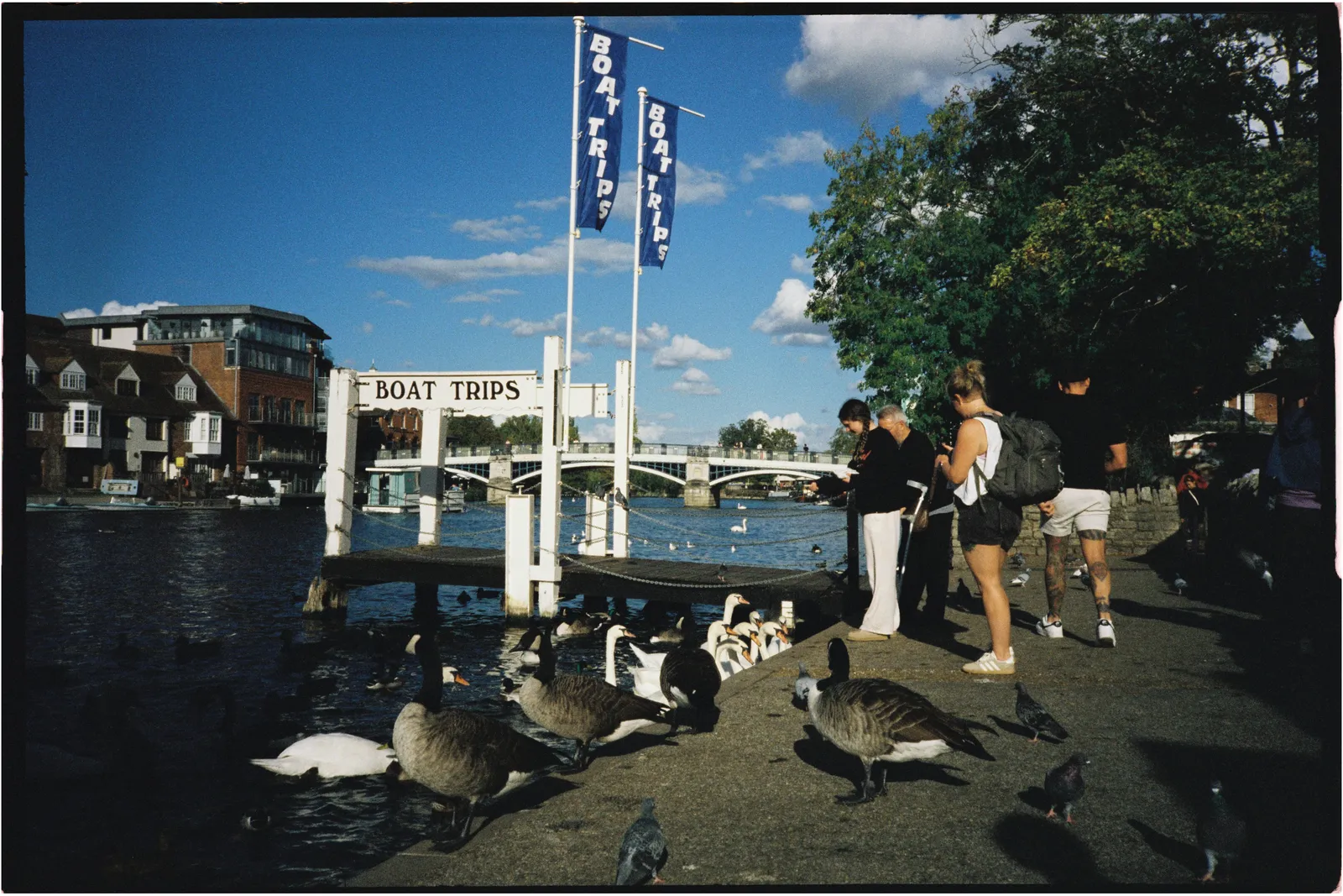 Film photograph shot on Candido 400 with a Konica Big Mini BM-201 by Zigao Wang