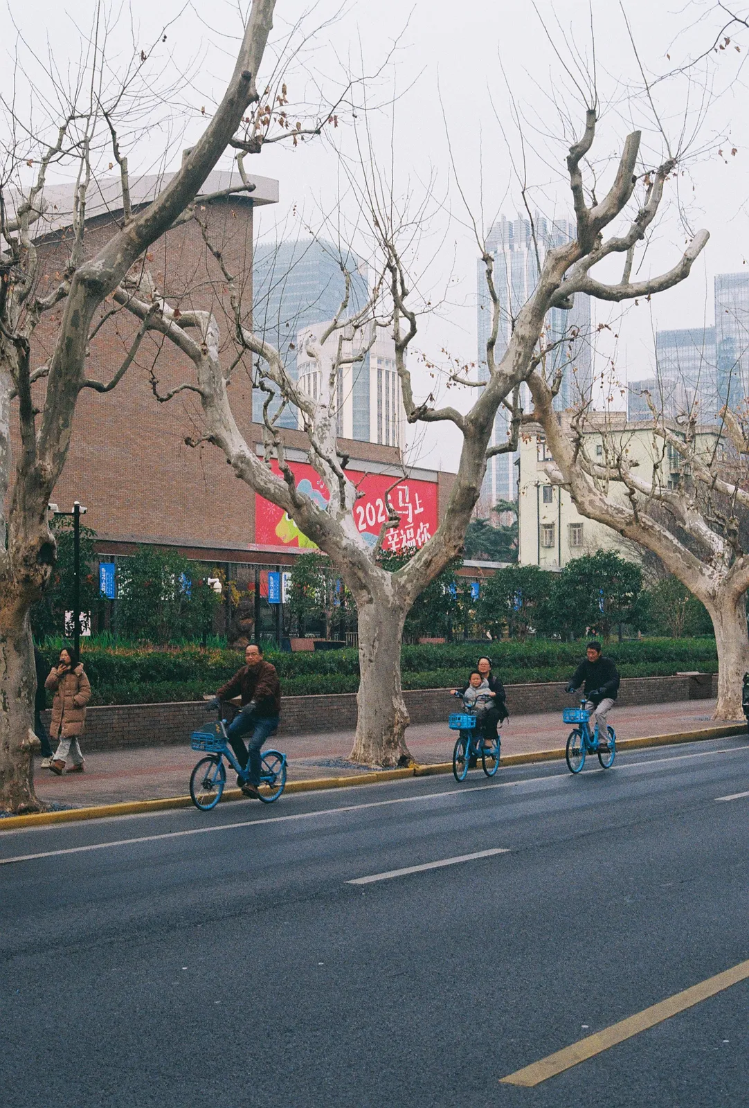 Film photograph shot on Kodak ColorPlus 200 with a Canon AE-1 Program by Zigao Wang