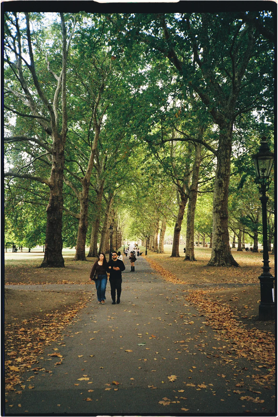 Film photograph shot on Kodak UltraMax 400 with a Konica Big Mini BM-201 by Zigao Wang