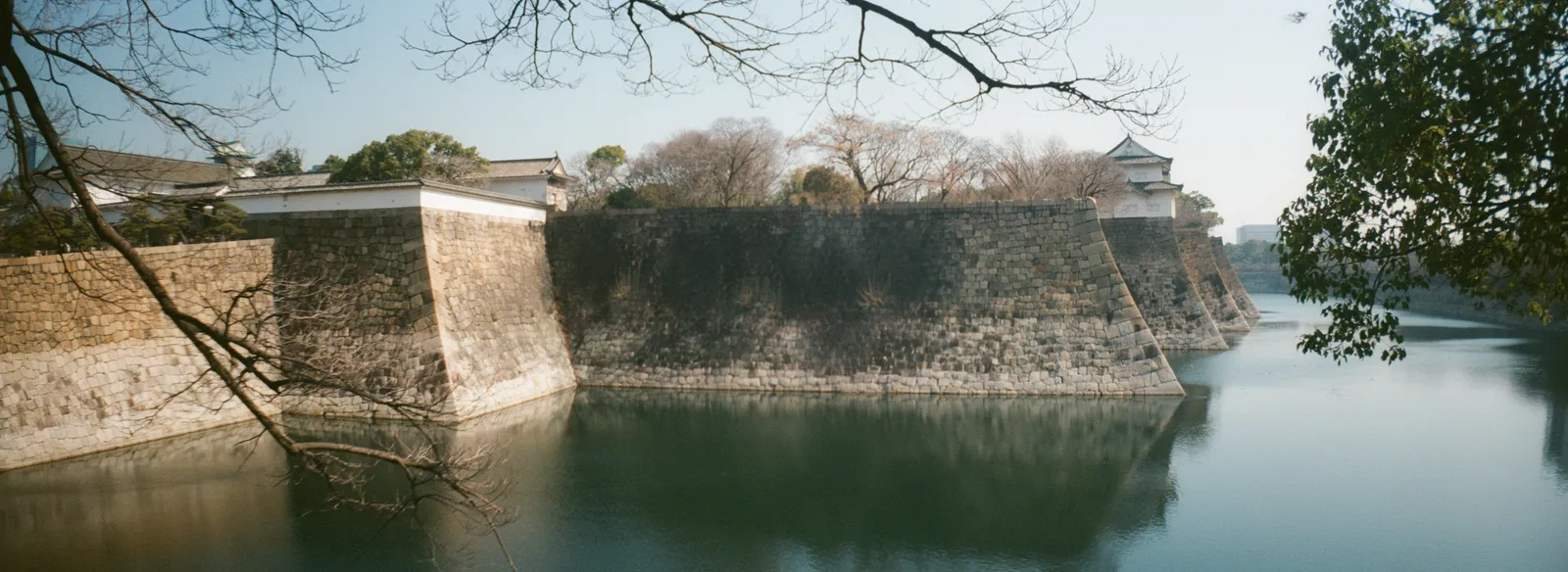 Film photograph shot on Kodak UltraMax 400 with a Lomography Sprocket Rocket by Zigao Wang