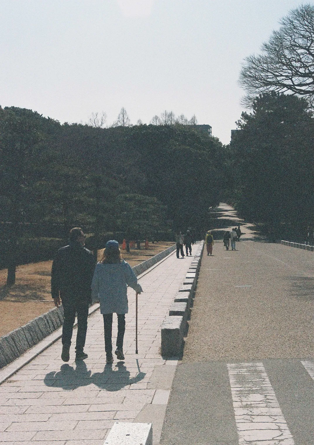 Film photograph shot on Kodak Portra 800 with a Canon AE-1 Program by Zigao Wang