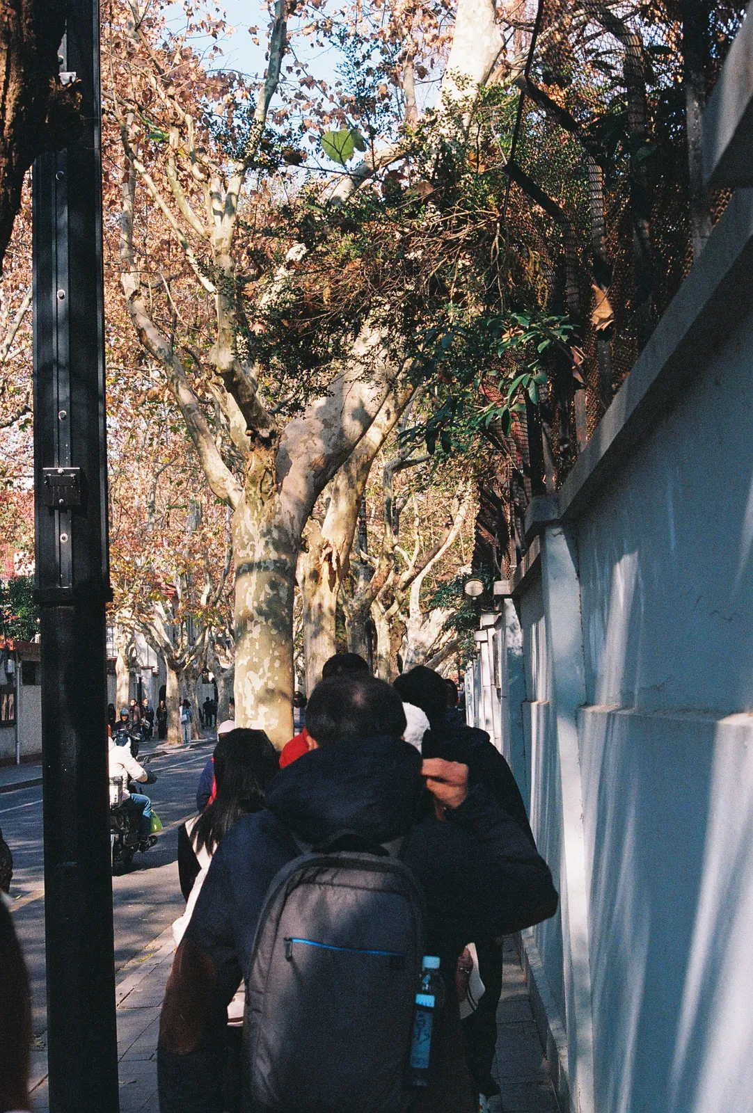 Film photograph shot on Kodak UltraMax 400 with a Canon AE-1 Program by Zigao Wang