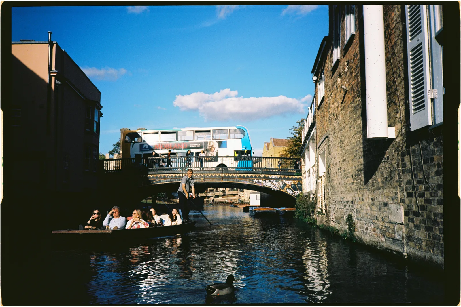 Film photograph shot on Kodak Ektar 100 with a Konica Big Mini BM-201 by Zigao Wang