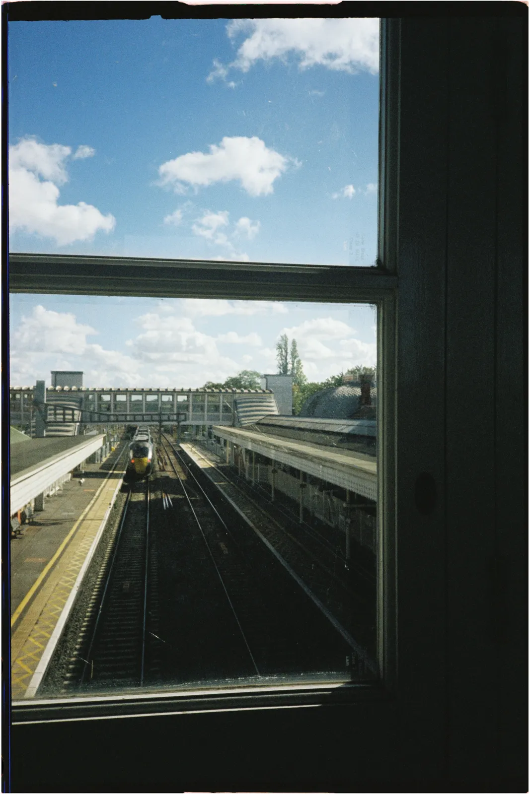 Film photograph shot on Candido 400 with a Konica Big Mini BM-201 by Zigao Wang