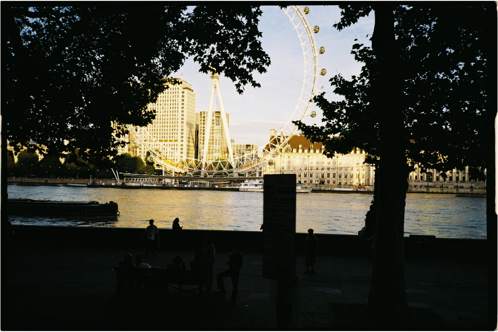 Film photograph shot on Kodak Gold 200 with a Konica Big Mini BM-201 by Zigao Wang