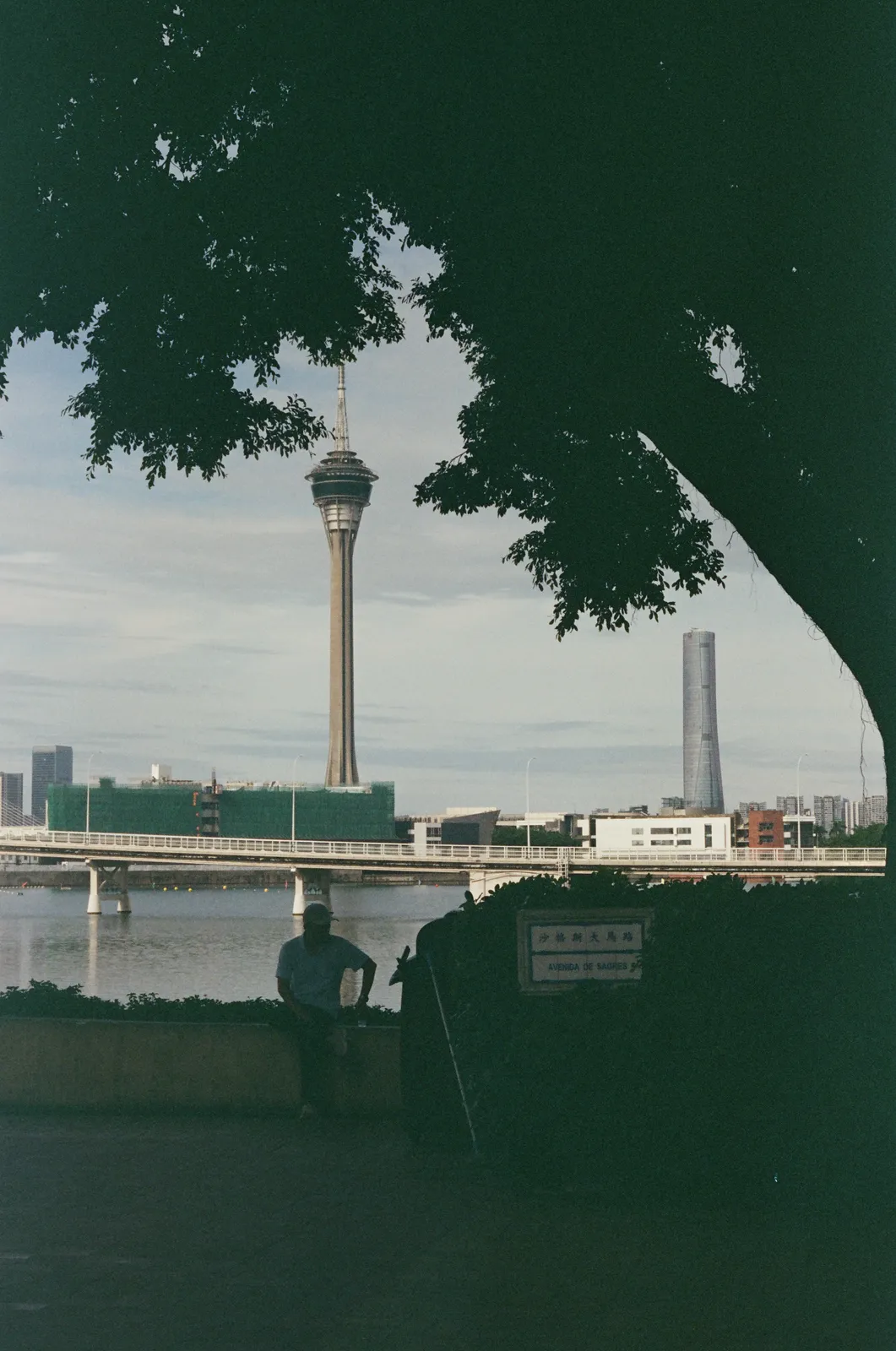 Film photograph shot on Kodak Vision3 250D with a Canon AE-1 Program by Zigao Wang