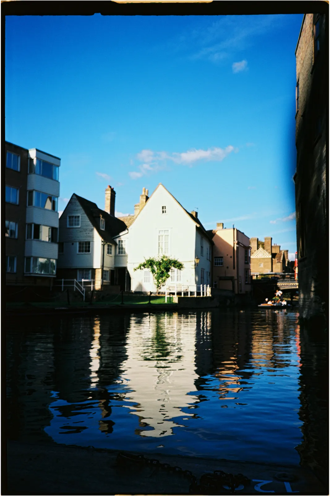 Film photograph shot on Kodak Ektar 100 with a Konica Big Mini BM-201 by Zigao Wang