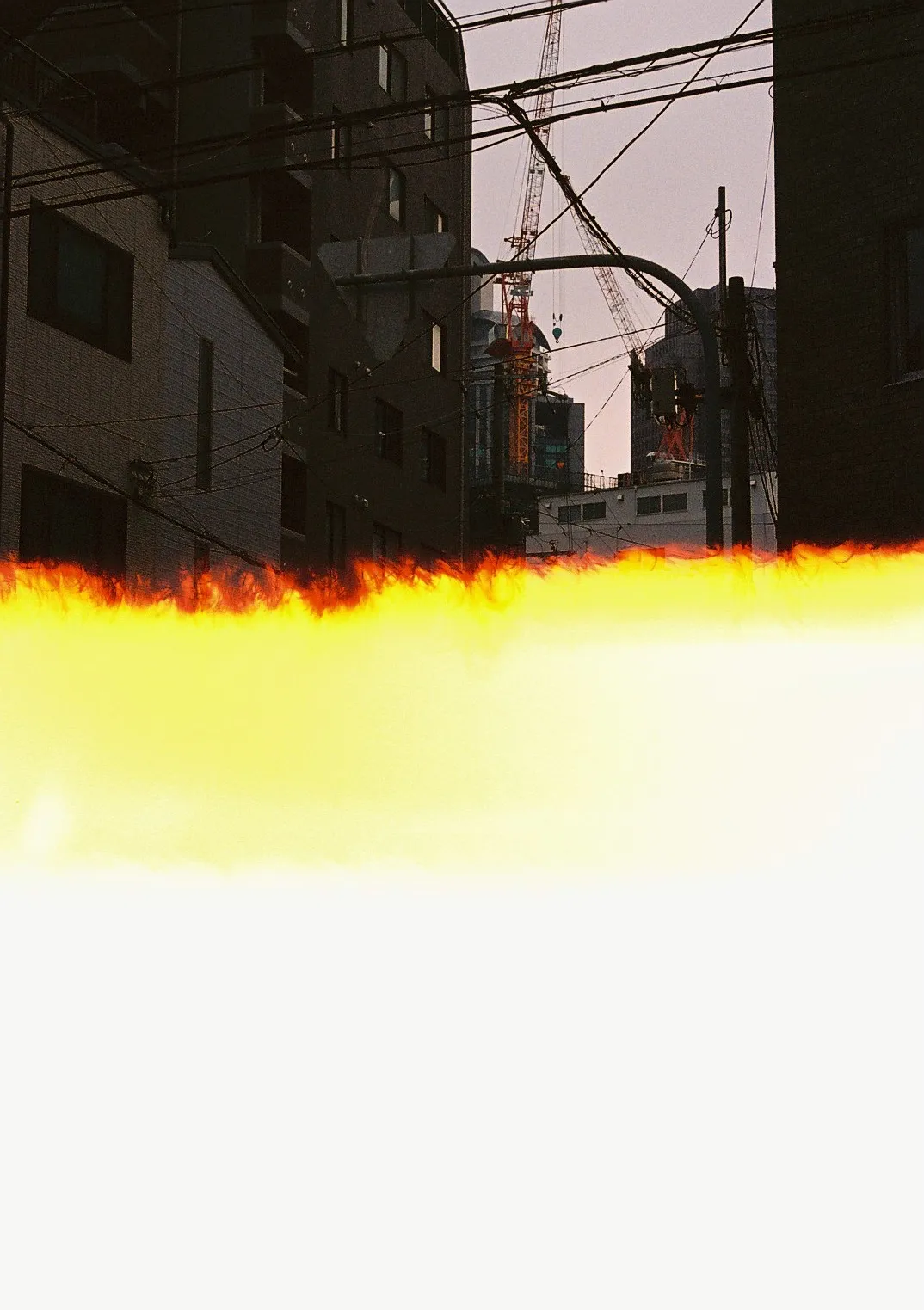Film photograph shot on Kodak Portra 800 with a Canon AE-1 Program by Zigao Wang