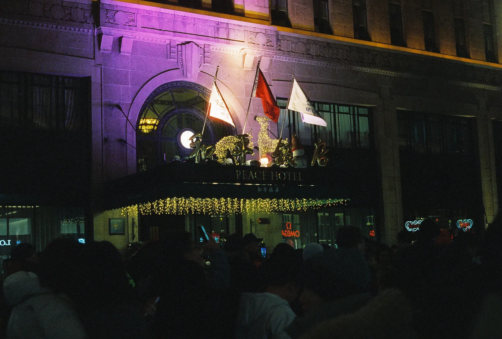 Film photograph shot on CineStill 800T with a Canon AE-1 Program by Zigao Wang