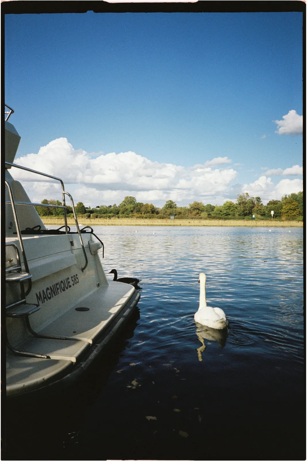 Film photograph shot on Candido 400 with a Konica Big Mini BM-201 by Zigao Wang